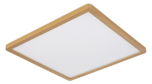 Globo 41563-18MM-LED Димируем плафон за баня SAPANA LED/18W/230V IP44