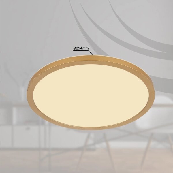Globo 41562-18MM - LED Димируем плафон SAPANA LED/18W/230V IP44