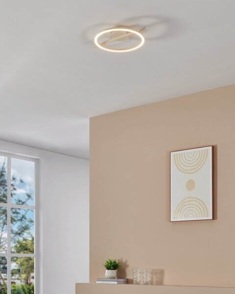 Eglo 901114 - LED Димируем плафон AMANDOLO LED/17W/230V бял + д.у