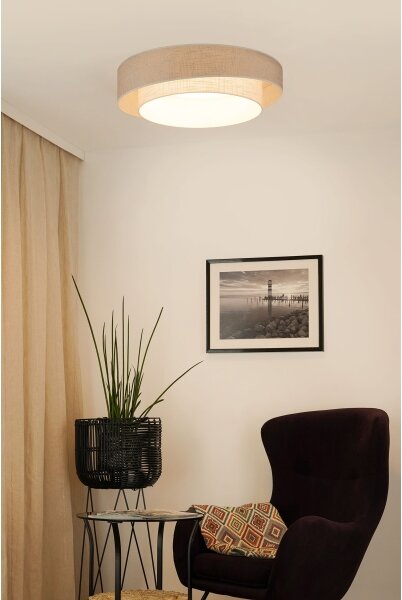 Brilagi - LED Плафониера DOVER SHINE LED/26W/230V Ø 60 см сив/кремав