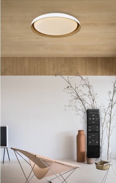 Top Light-LED Димируем плафон SATELLITE LED/36W/230V 3000-6500K бял + д.у
