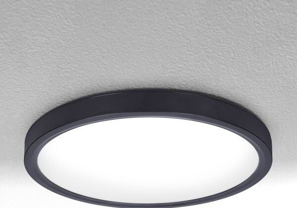 Brilagi-LED Димируема лампа ESTELA LED/36W/230V 3000-6500K ø 30 см черен + д.у