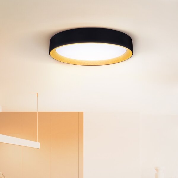 Brilagi-LED Димируема лампа LARIOS LED/60W/230V 3000-6500K ø 49 см черен + д.у