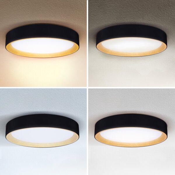 Brilagi-LED Димируема лампа LARIOS LED/60W/230V 3000-6500K ø 49 см черен + д.у