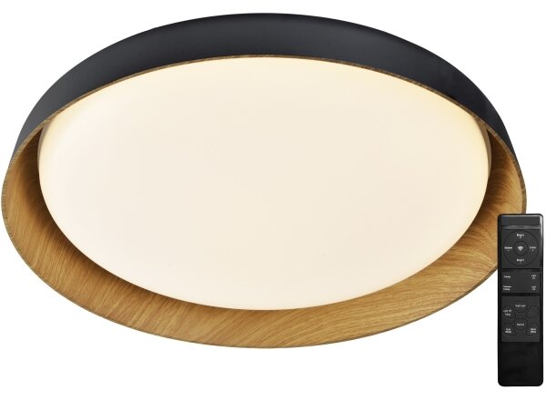 Top Light-LED Димируем плафон SATELLITE LED/36W/230V 3000-6500K черен + д.у