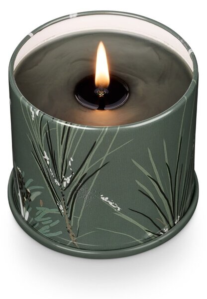 Ароматна свещ от соев восък с време на горене 50 часа Balsam & Cedar – ILLUME x Bloomingville