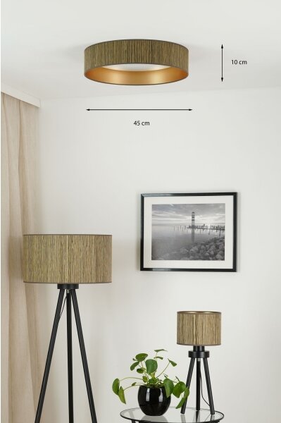 Brilagi - LED таванно осветление BOSTON ROLLER LED/24W/230V пр. 45 см кафяво/зла