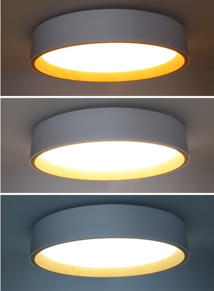 Solight WO8017 - LED таванно осветление LARIOS LED/48W/230V+DO пр.39 см бяло