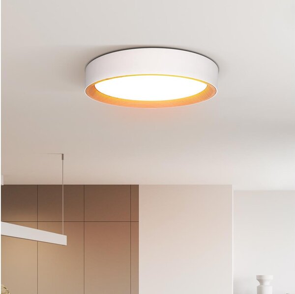 Solight WO8017 - LED таванно осветление LARIOS LED/48W/230V+DO пр.39 см бяло