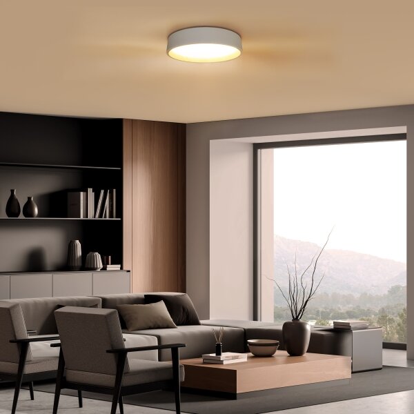 Solight WO8017 - LED таванно осветление LARIOS LED/48W/230V+DO пр.39 см бяло