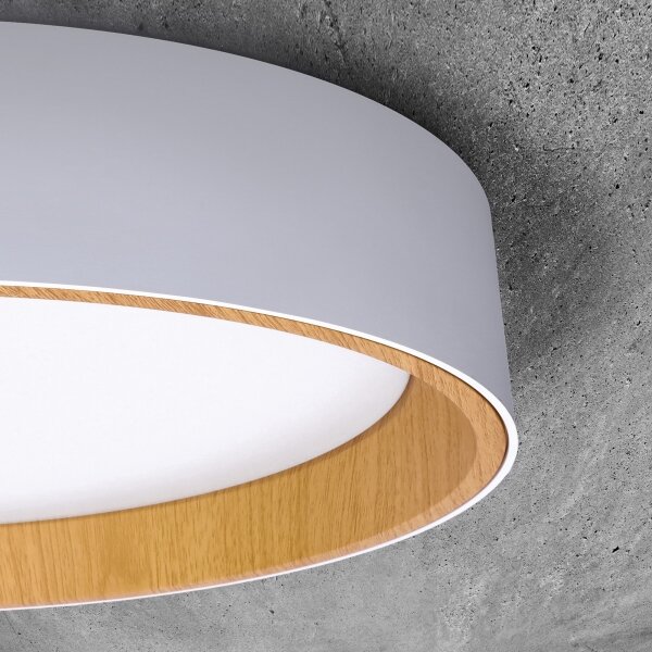 Solight WO8017 - LED таванно осветление LARIOS LED/48W/230V+DO пр.39 см бяло