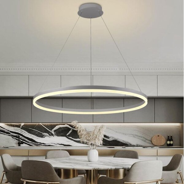 Brilagi -LED Димируем полилей на кабел CIRCLE LED/55W/230V 3000-6500K сребрист + дистанционно управление