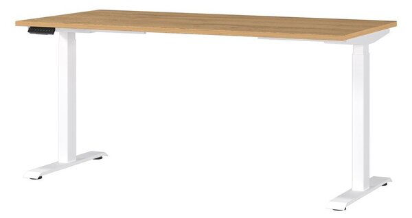 Работна маса с електрическо регулиране на височината 80x160 cm Jet – Germania