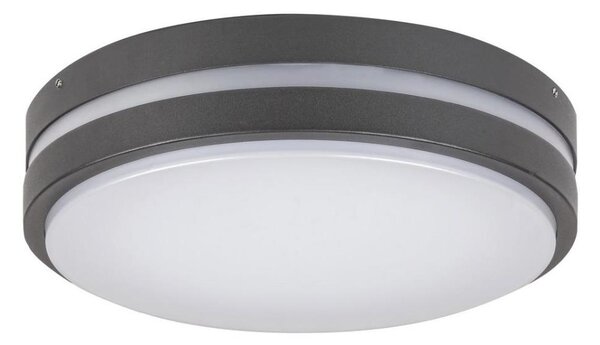 Rabalux 8847 - LED Екстериорна Стенна лампа HAMBURG LED/10W/230V IP44