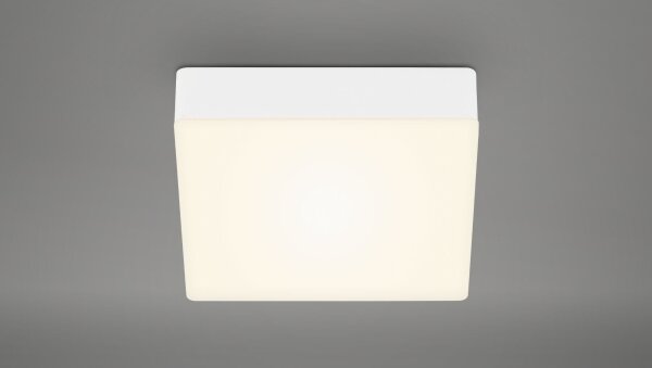 Briloner 7069-016 - LED Плафониера LED/11W/230V бял