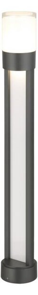 Rabalux 77132 - LED Екстериорна лампа LEITHA LED/12W/230V IP44 80 см