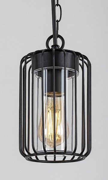 Rabalux 77107 - Екстериорен полилей TARPA 1xE27/40W/230V IP44