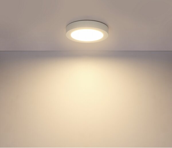 GLOBO 41605-18 - LED плафон за баня PAULA LED/18W/230V IP44