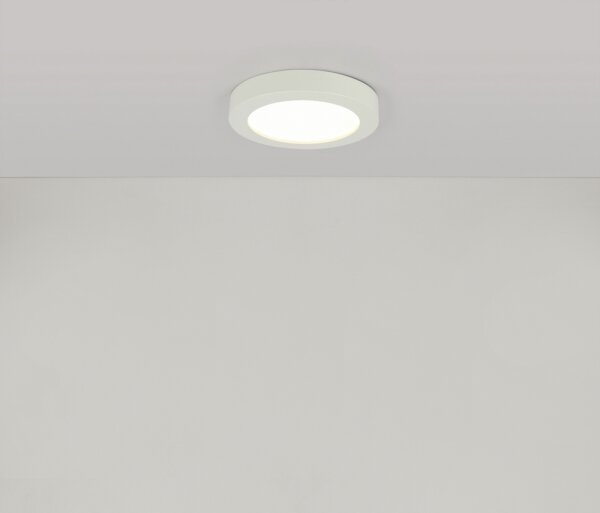GLOBO 41605-18 - LED плафон за баня PAULA LED/18W/230V IP44