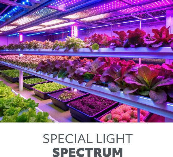 Димируема настолна LED лампа за отглеждане на растения VITARO 4xLED/10W/230V черна