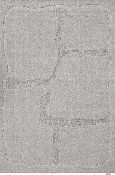 Сив вълнен килим 200x300 cm Morphic Organica – Agnella