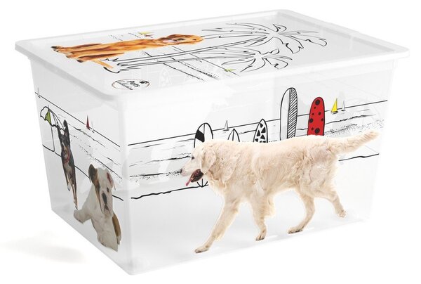 Бяла пластмасова кутия за съхранение с капак 55x39x31 cm C Box Style – KIS