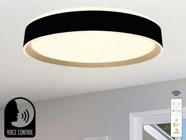 LED Димируем плафон с гласово управление OPAL LED/48W/230V + д.у