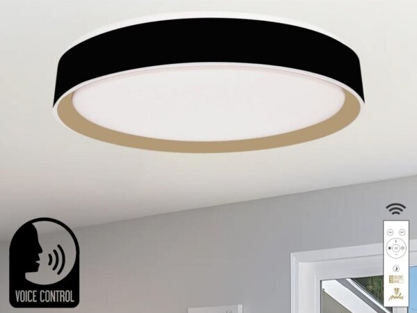 LED Димируем плафон с гласово управление OPAL LED/48W/230V + д.у