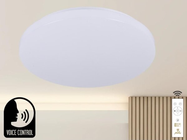 LED Димируем плафон с гласово управление OPAL LED/48W/230V + д.у