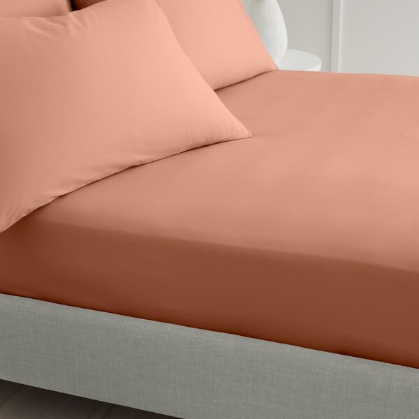 Теракотен еластичен чаршаф от памук перкал 90x190 cm Cotton Percale – Bianca