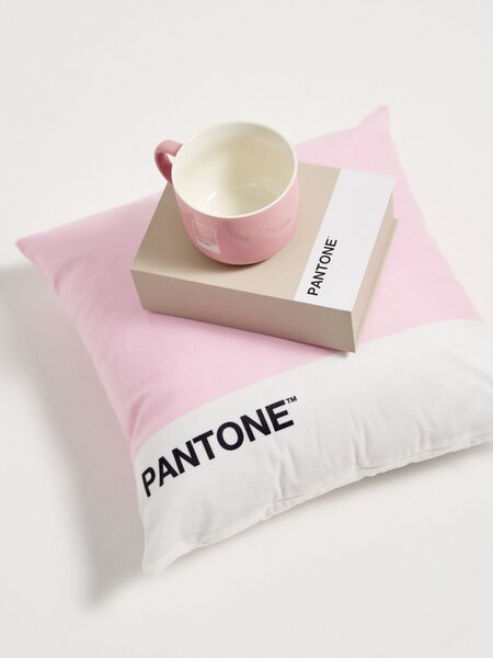 Sinsay - Калъфка за възглавница Pantone - пастелнорозово