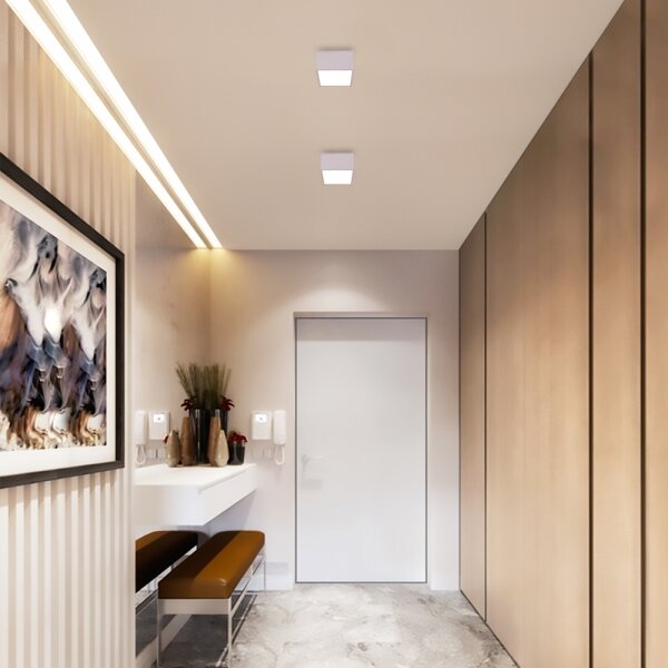 Immax NEO 07072L-15 - Димируема лампа CANTO LED/12W/230V бяла