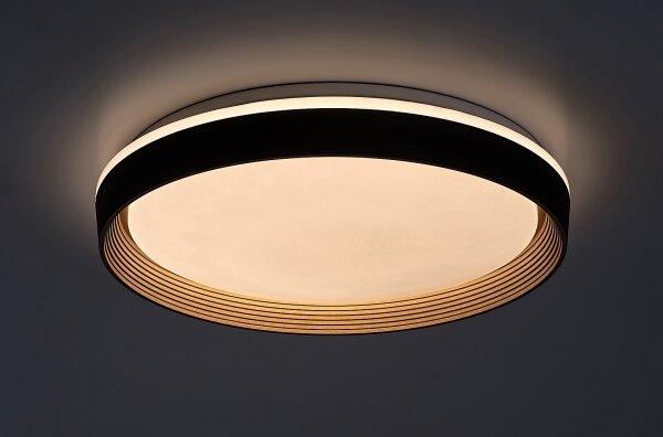 Rabalux 71308 - LED Димируем плафон LADAN LED/48W/230V 3000-6500K + д.у