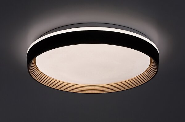 Rabalux 71308 - LED Димируем плафон LADAN LED/48W/230V 3000-6500K + д.у