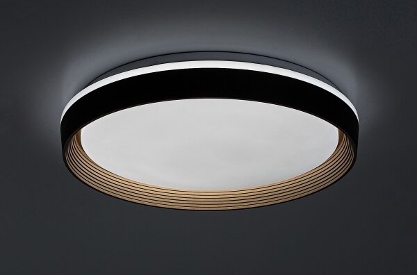 Rabalux 71308 - LED Димируем плафон LADAN LED/48W/230V 3000-6500K + д.у