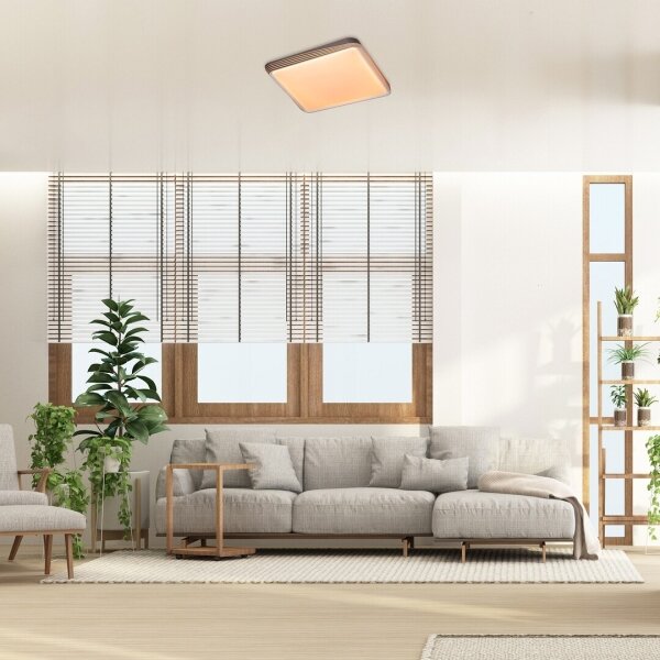 Rabalux 71166 - LED таванно осветително тяло DRUZOR LED/40W/230V 3000K