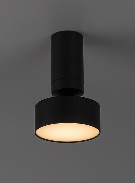 Rabalux 71321 - LED таванно осветително тяло OVIDIA LED/10W/230V 3000K черно