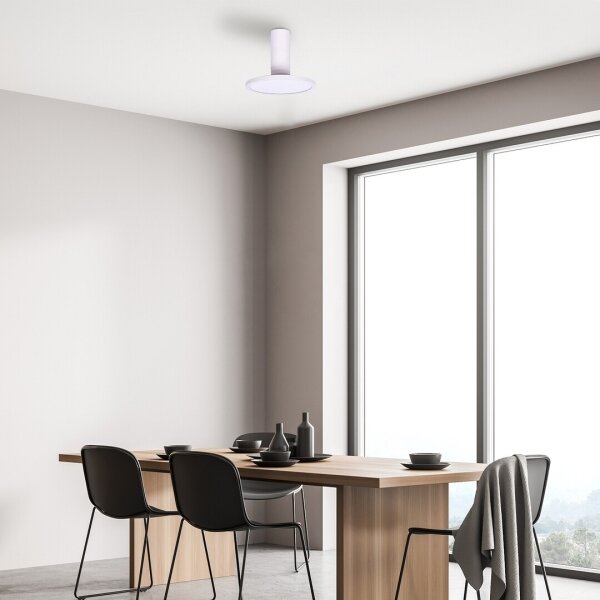 Rabalux 71328 - LED таванно осветително тяло OVIDIA LED/20W/230V 3000K бяло