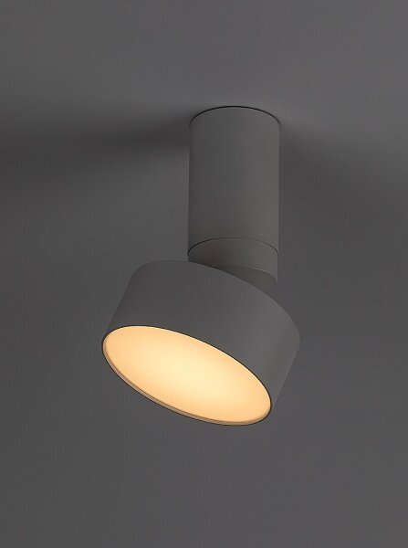 Rabalux 71326 - LED таванно осветително тяло OVIDIA LED/10W/230V 3000K бяло