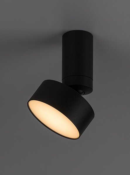 Rabalux 71321 - LED таванно осветително тяло OVIDIA LED/10W/230V 3000K черно
