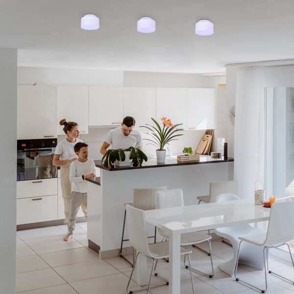Rabalux 71325 - LED таванно осветително тяло OVIDIA LED/24W/230V 3000K бяло