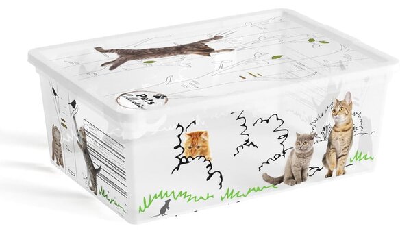 Бяла пластмасова кутия за съхранение с капак 37x26x15 cm C Box Style – KIS