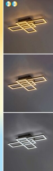 Rabalux 71394 - Димируемо LED таванно осветително тяло MERENI LED/40W/230V 3000-6500K + ДУ