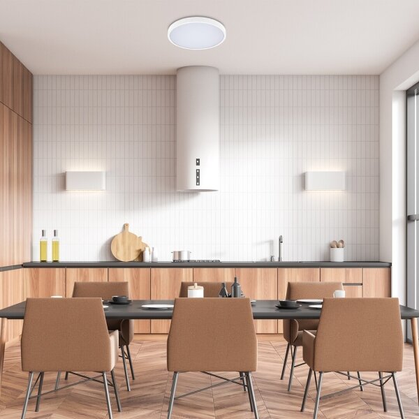 Rabalux 71428-LED Димируем плафон за баня ALENZO LED/24W/230V IP44 бял + д.у