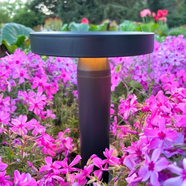 Zuma Line DT33611 - LED соларна лампа CARLI LED/2W/2000 mAh IP44 черна