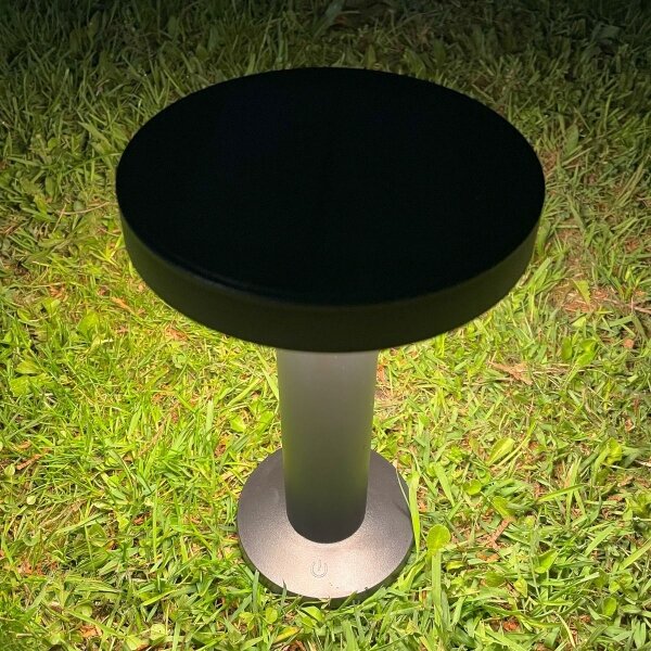 Zuma Line DT33611 - LED соларна лампа CARLI LED/2W/2000 mAh IP44 черна