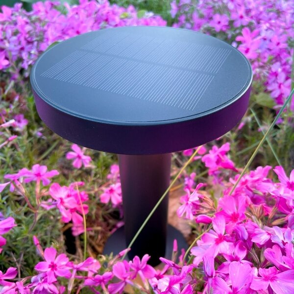 Zuma Line DT33611 - LED соларна лампа CARLI LED/2W/2000 mAh IP44 черна