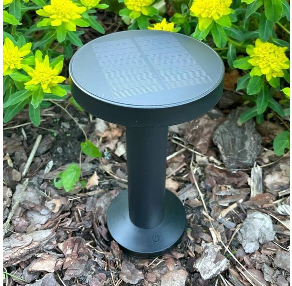 Zuma Line DT33611 - LED соларна лампа CARLI LED/2W/2000 mAh IP44 черна