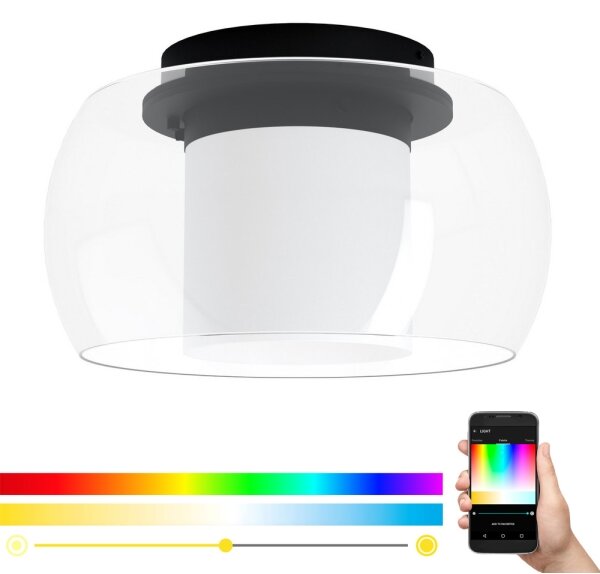 Eglo 99022 - LED RGB Димируема лампа BRIAGLIA-C LED/24,8W/230V