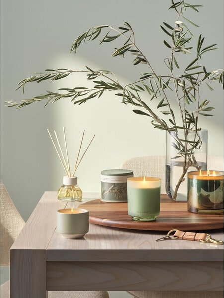 Дифузер Hinoki Sage – ILLUME x Bloomingville